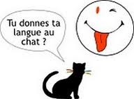 mots,expressions,chat